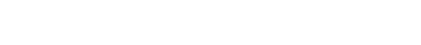 AUTO FINAL